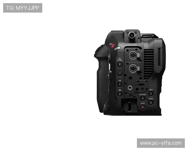 尊龙z6ag旗舰厅：严格的隐私保护措施保障玩家个人信息安全