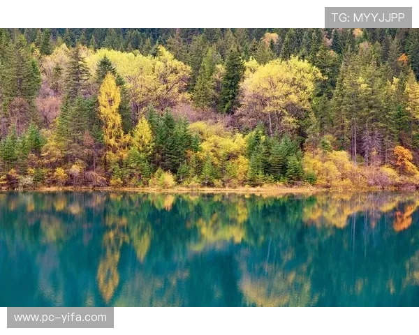 胜游亚洲带你领略多彩文化与绝美风光的精彩旅程