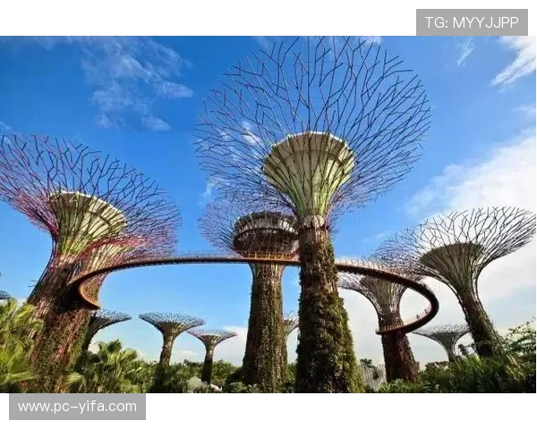 太子城娱乐：探索最新娱乐资讯与精彩活动推荐