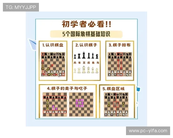 多宝真人国际厅新手入门指南，快速掌握游戏规则与提升胜率技巧